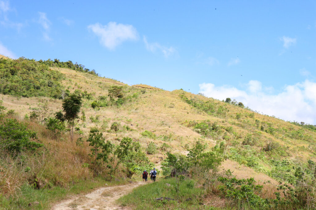 2023 – NSCR-CP02 Nature Nurture Project at Mt. Balagbag, San Jose Del Monte Bulacan